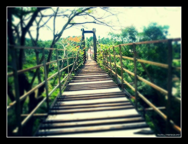 hanging bridge