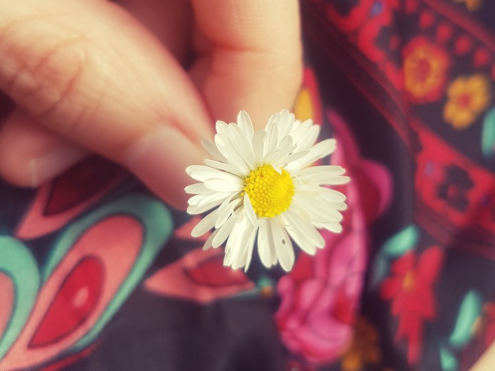 flower