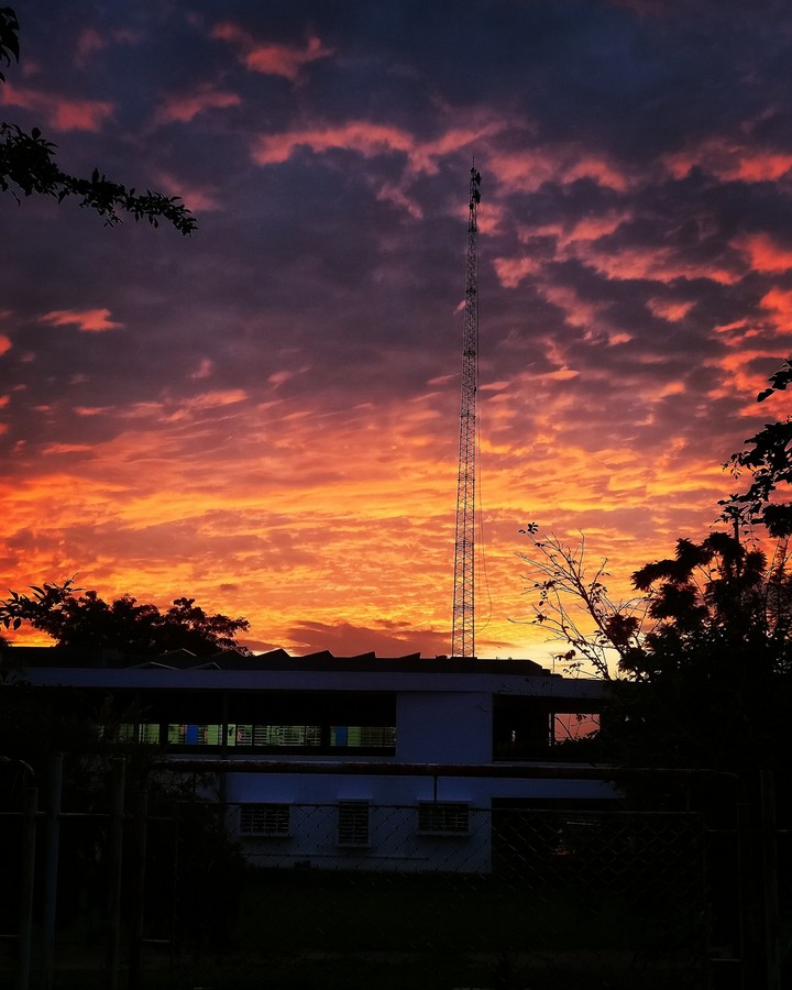 gold skies