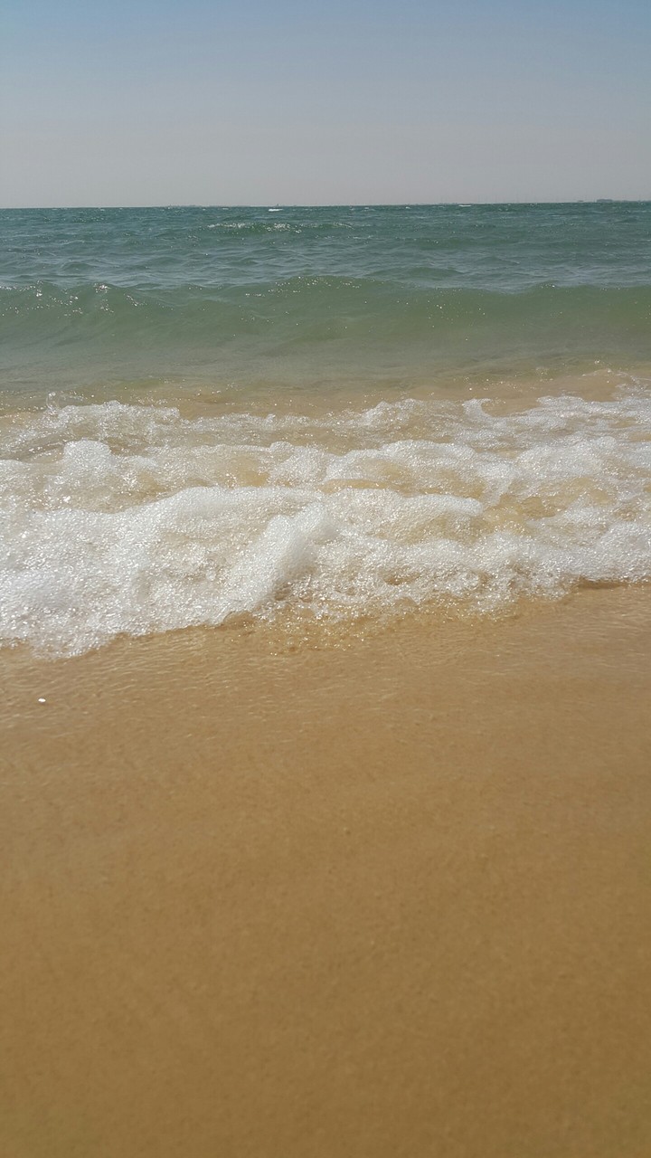 wave