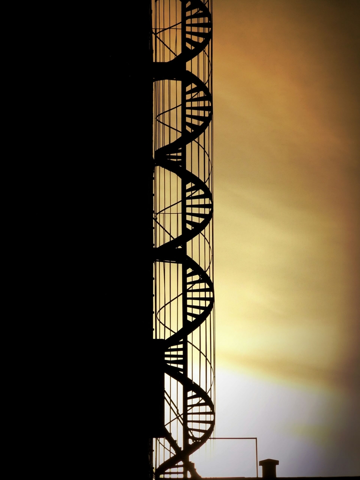 DNA (a.k.a. stairs at sunset)