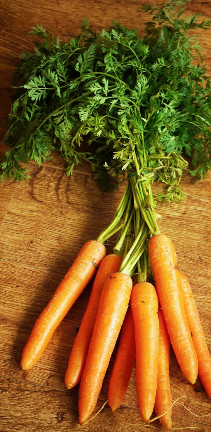 fresh vegetables