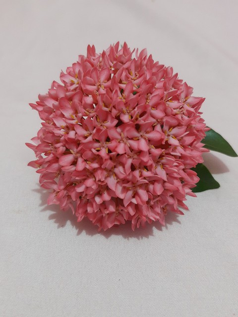 Florecillas