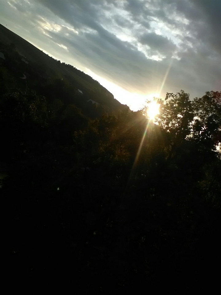 The sun