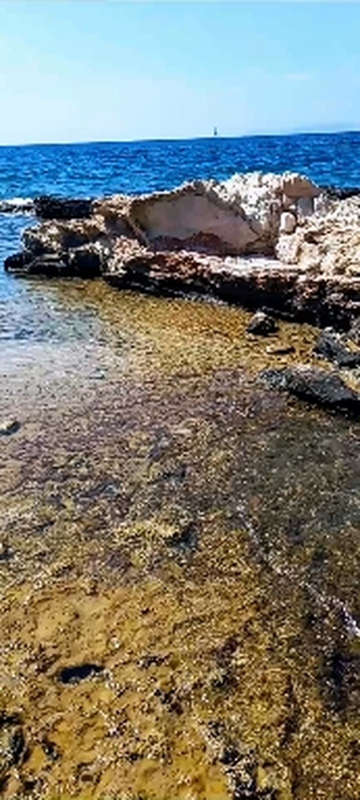 Rocky freshness