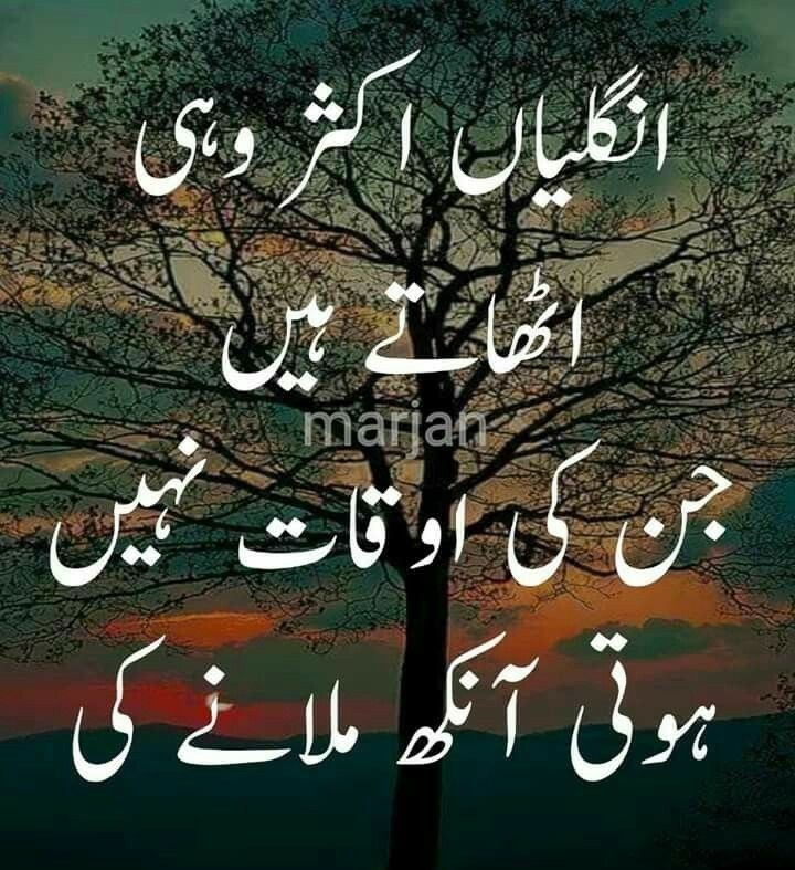 absolutely