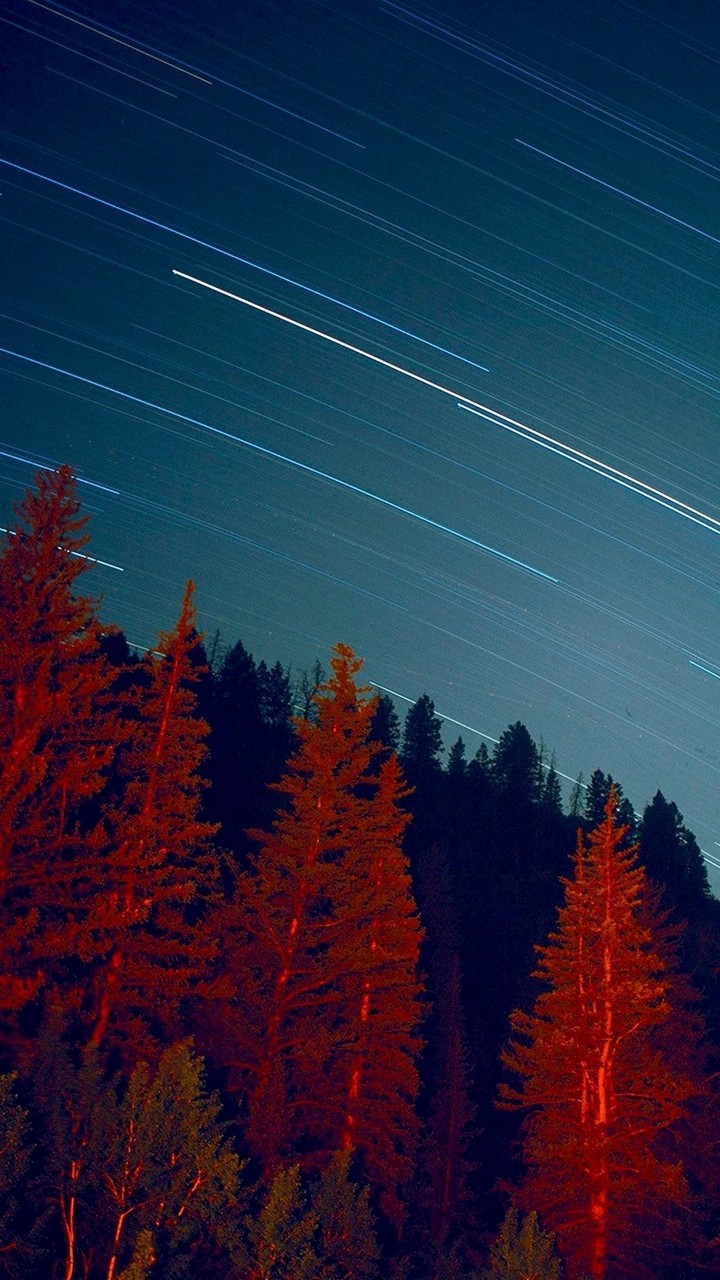 shooting stars