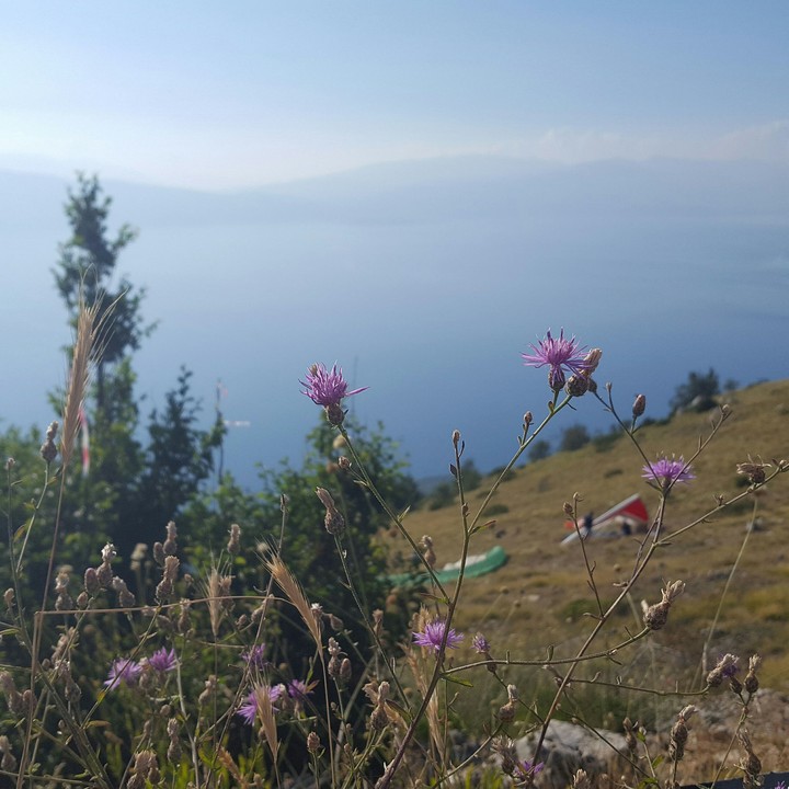 Ohrid Lake