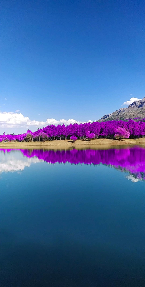 #lake