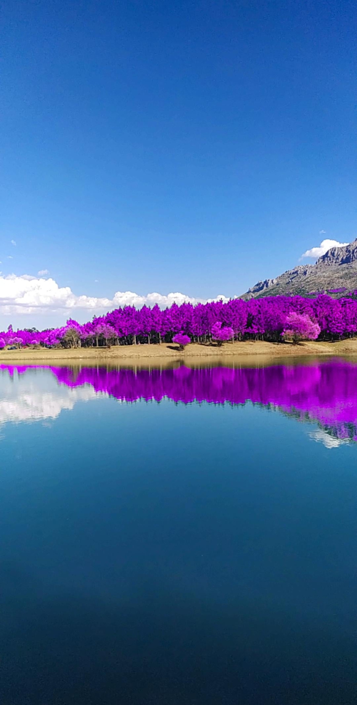 #lake