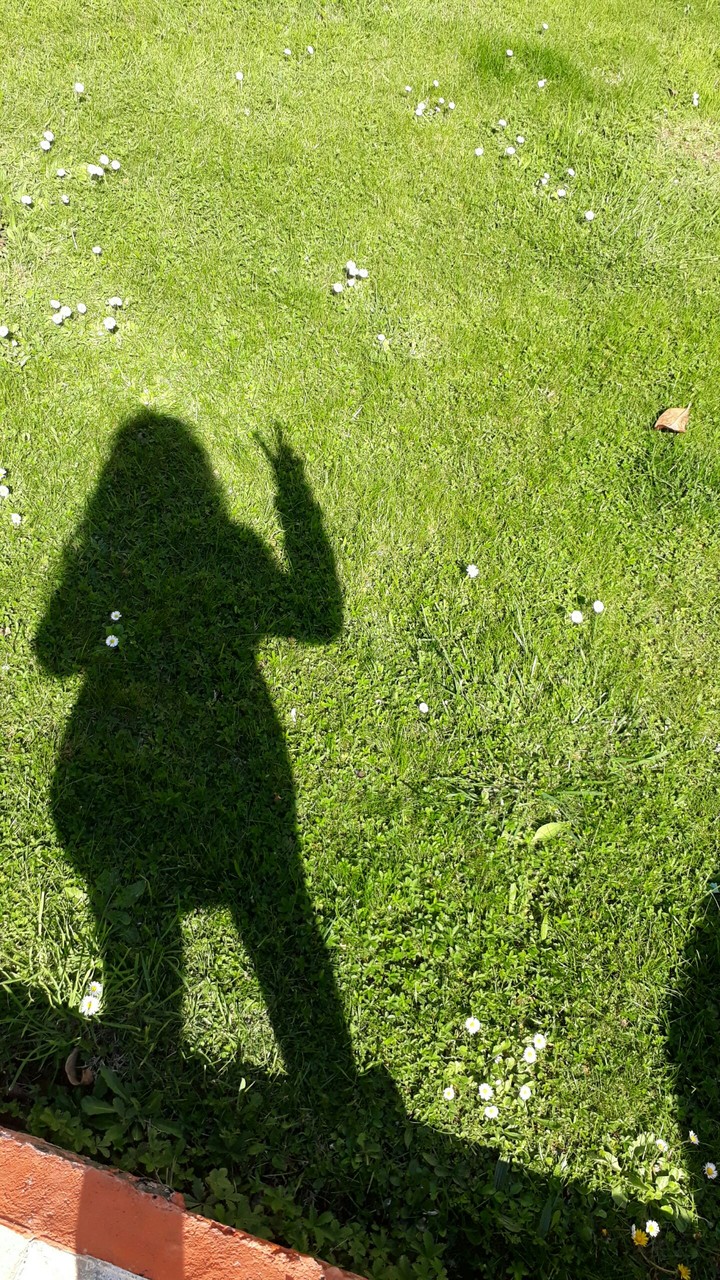selfie