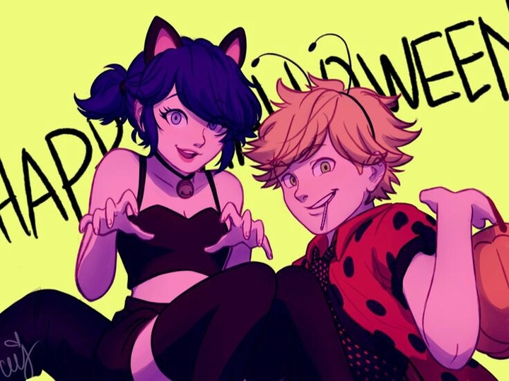 chat noir ladybug