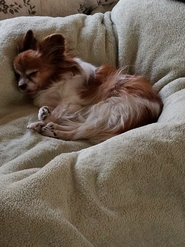 My Little girl sleeps alot but she's still my girl