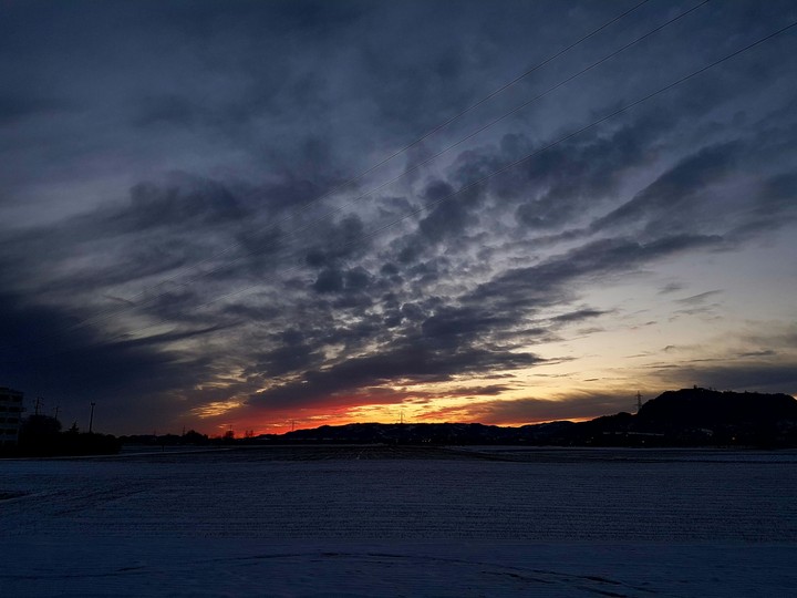 FROZEN FIELDS