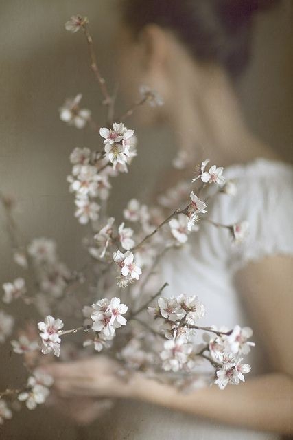 Fragile spring
