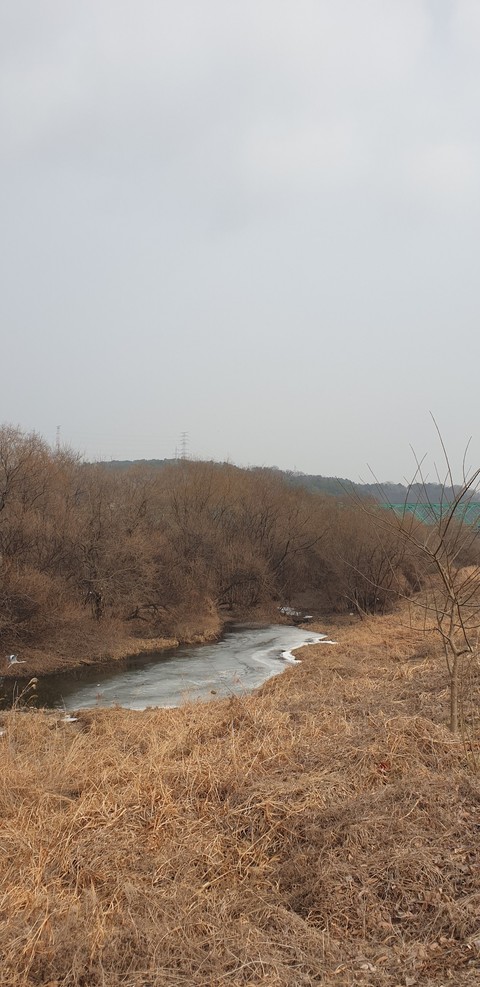 wetland, shrubland háttérképek