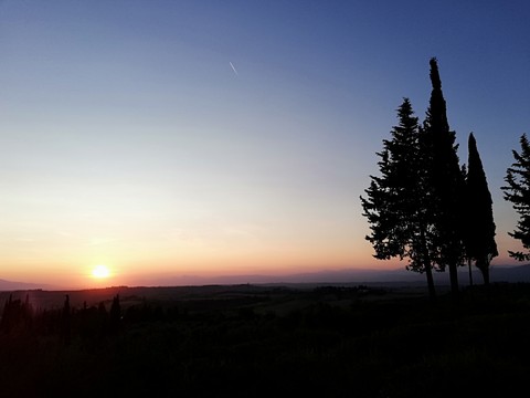 sunset
