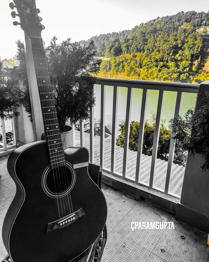 Guitar