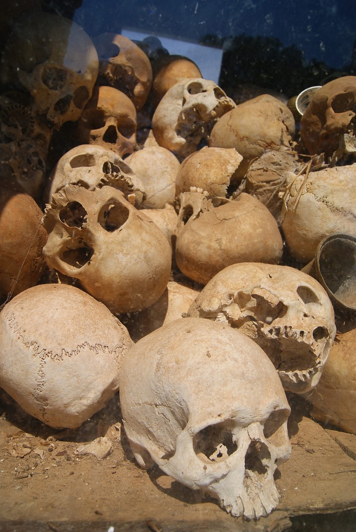 Human Skeleton