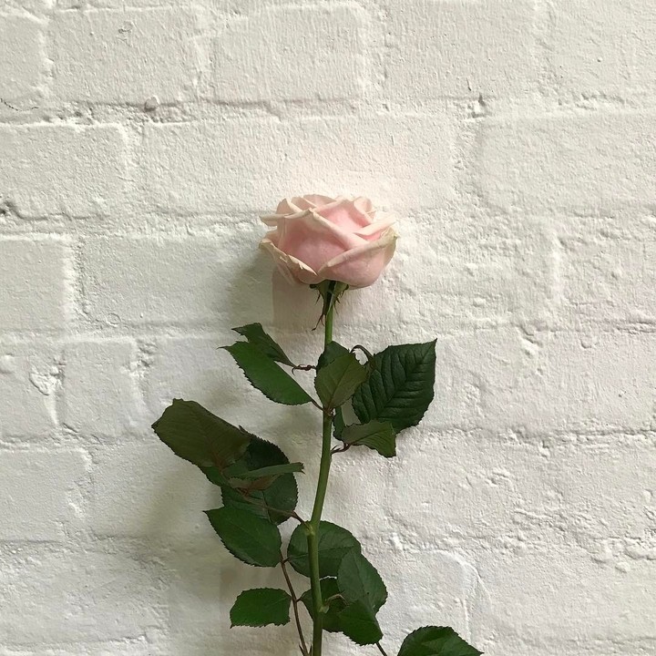 ~