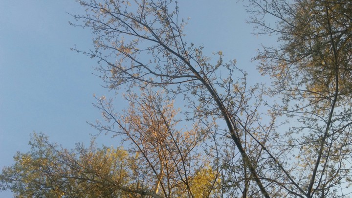 #spring#