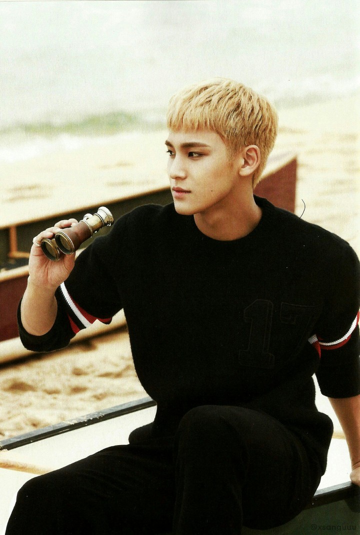 Seventeen Mingyu