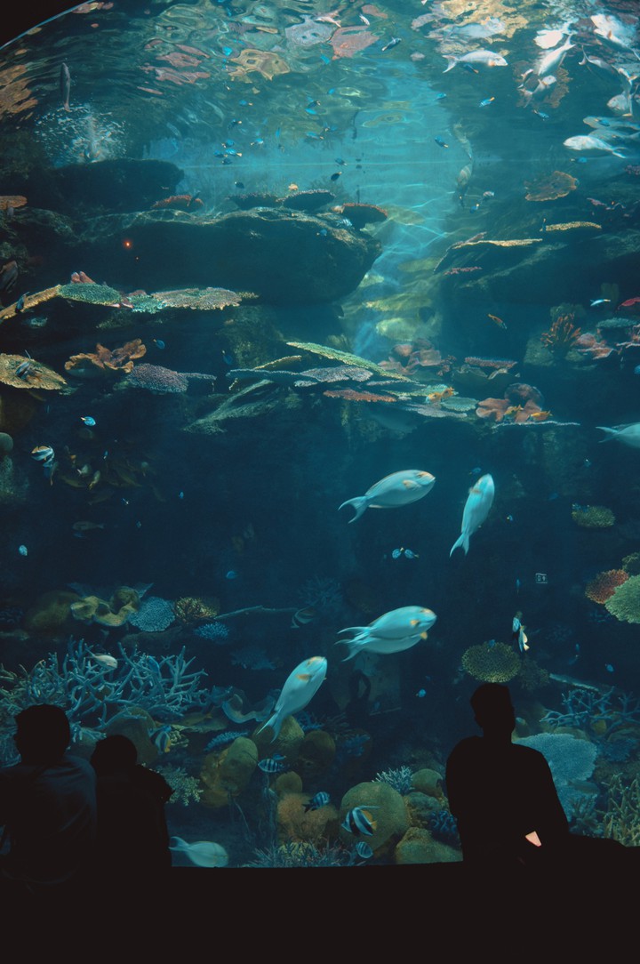 Aquarium