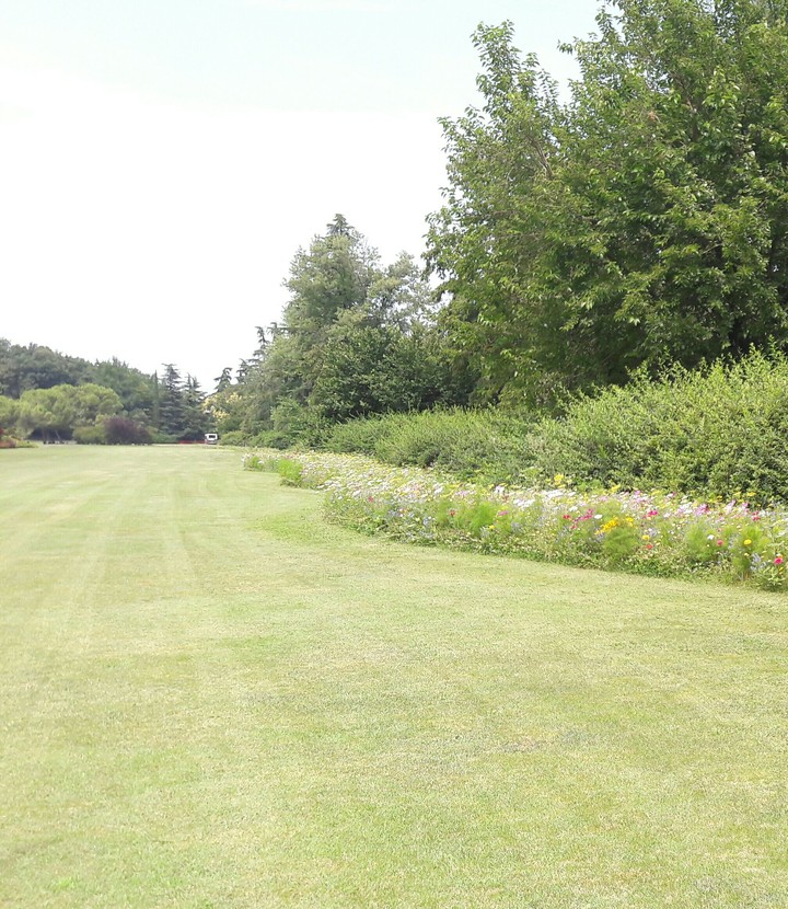 garden 2