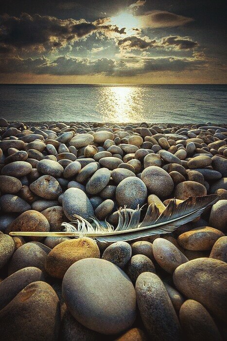 sandy sea