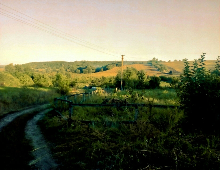selo)