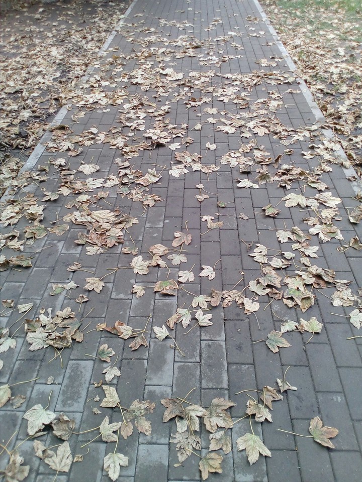 Road