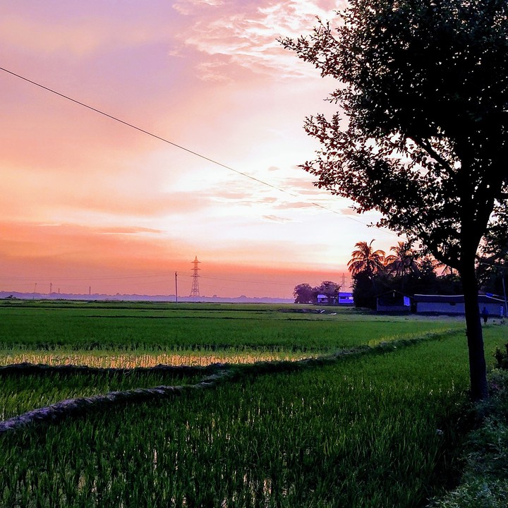 sunset