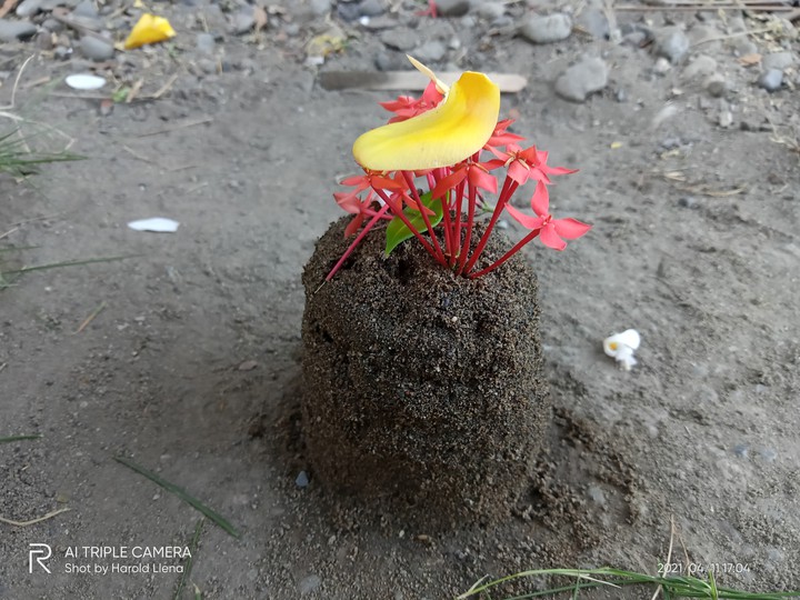 Mini Sand Castle (2) by Manolo