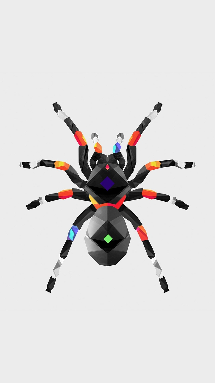 Material Colorful Spider