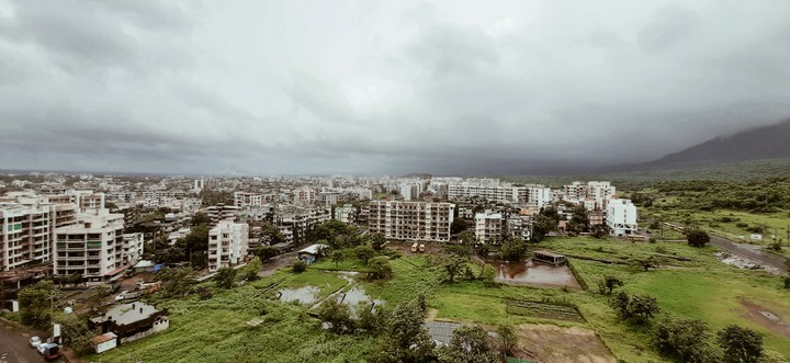 Jungle of concrete