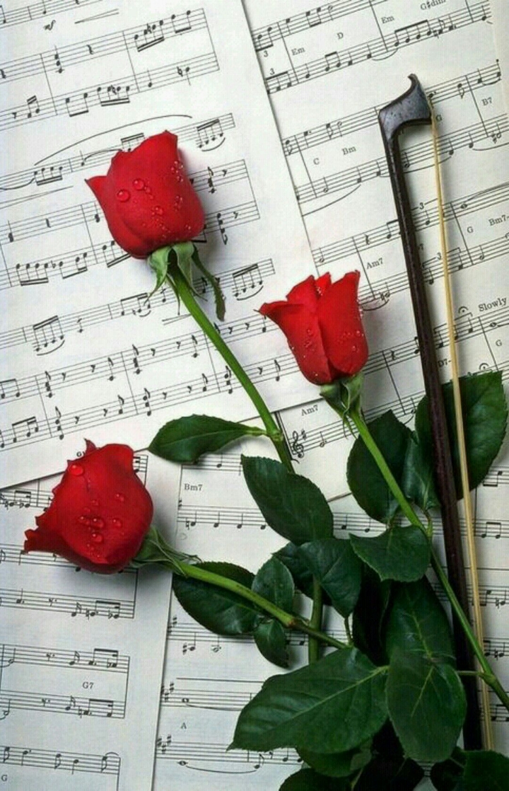 Violino e flores