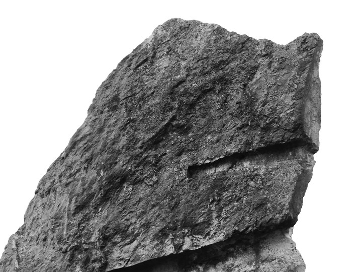 the rock dog 2