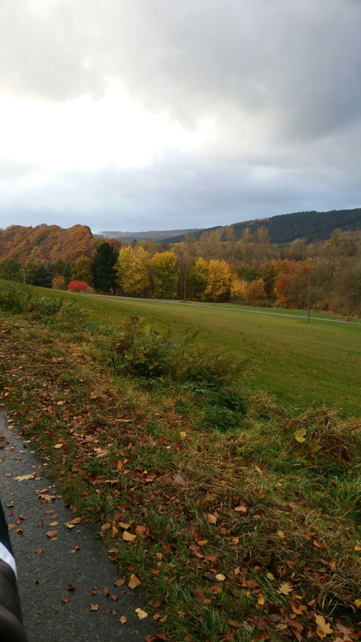 Herbstzeit