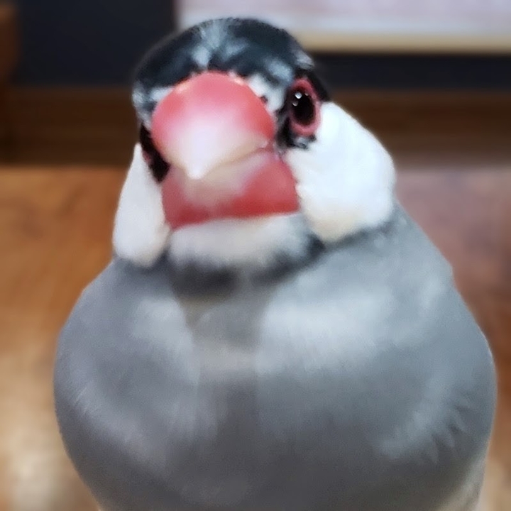 .