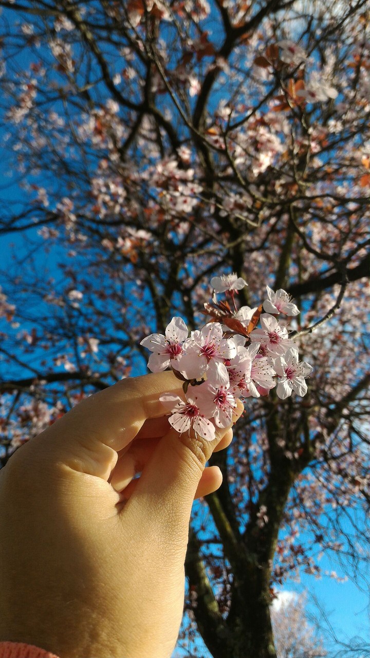 photo taken by me!