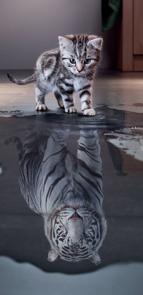 never stop believing in yourself ?
