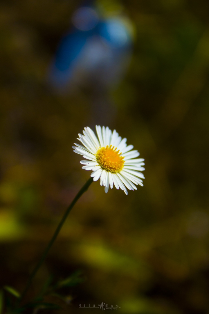 Colours of Nature
