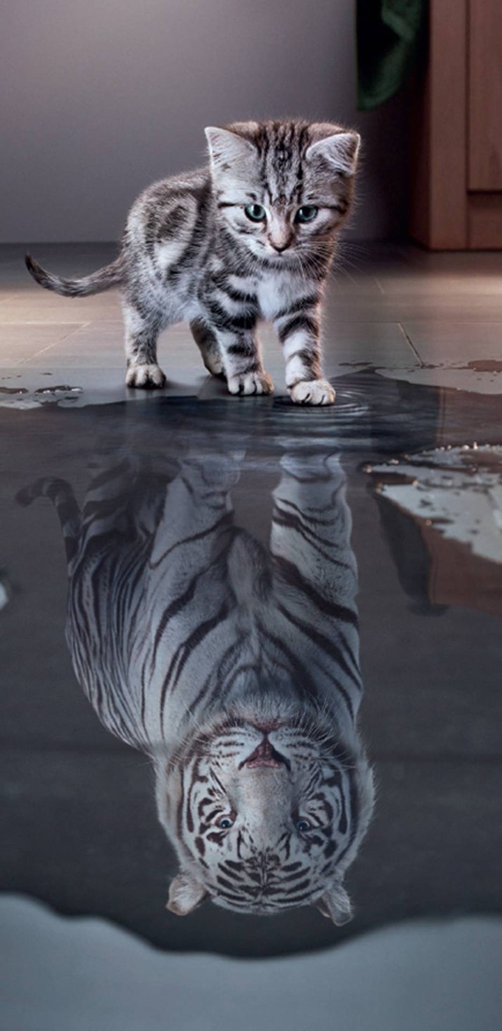 never stop believing in yourself ?