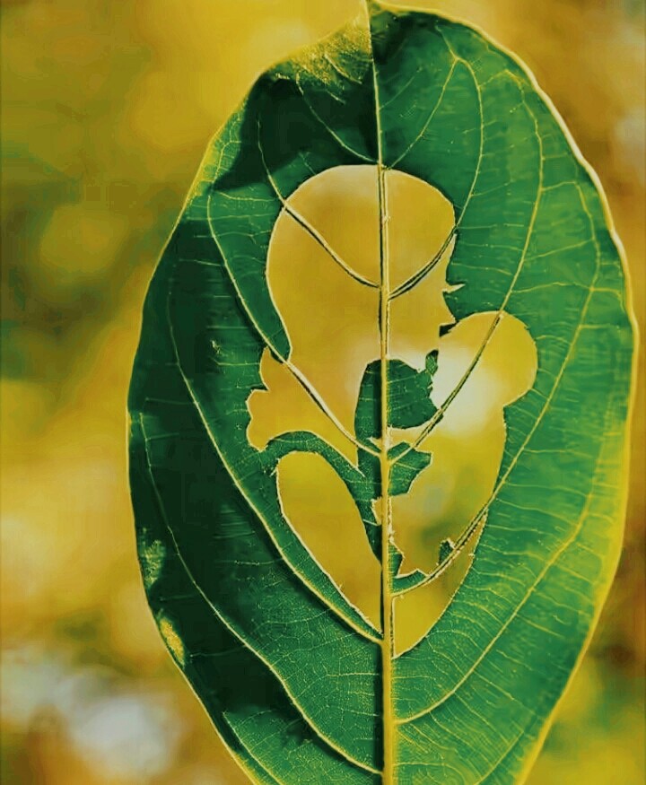 love of mom