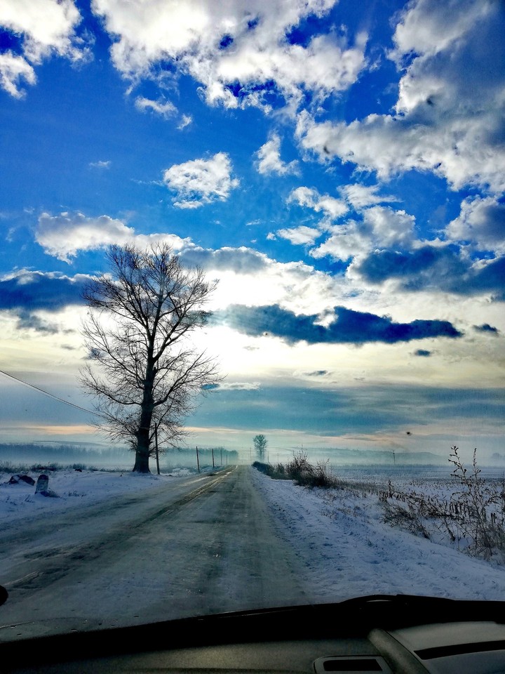 Winter landscape