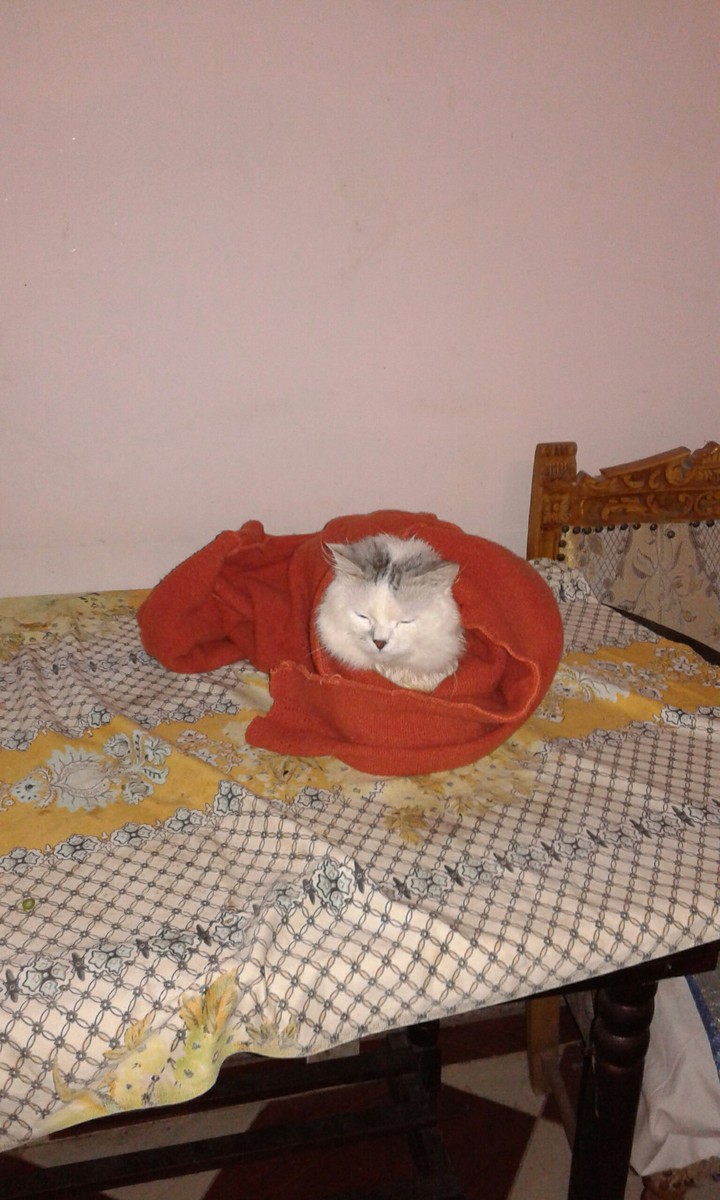 Sleep beauty