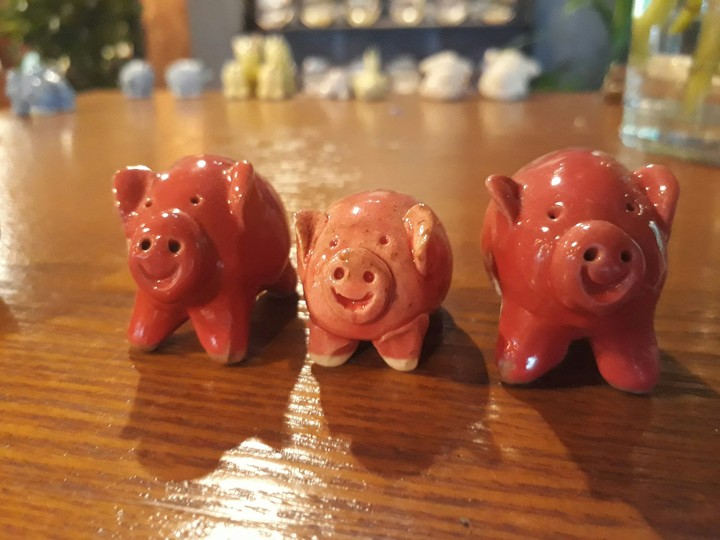 happy pig familly