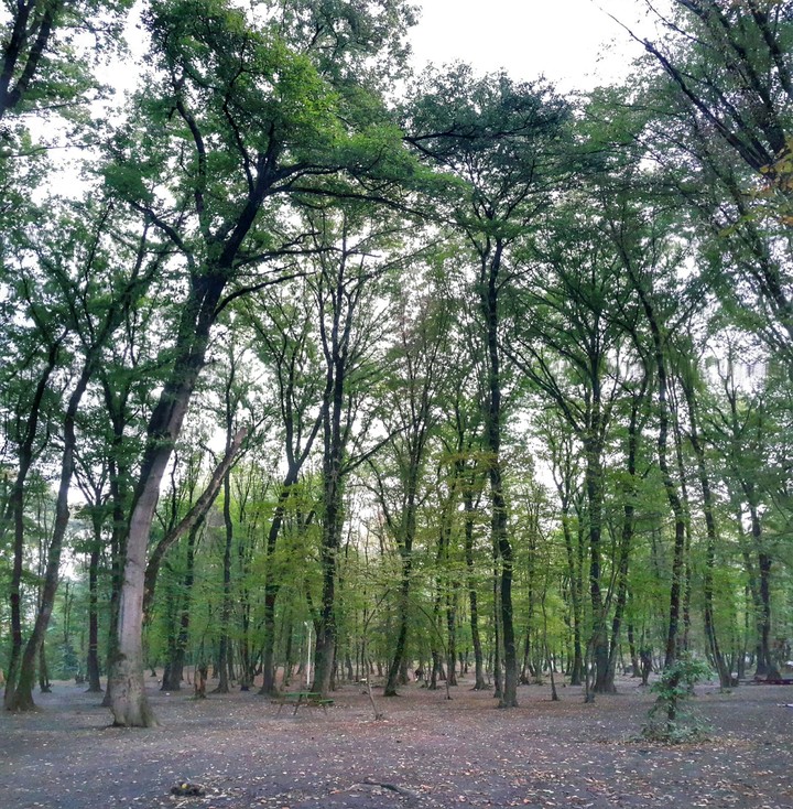 Alangdareh Park