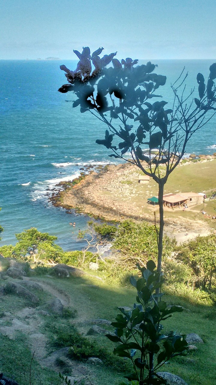 Beatiful