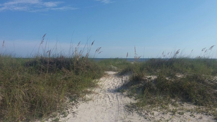 beach